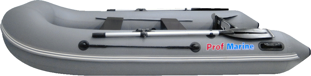ProfMarine PM 300 CL ProfMarine PM 300 CL